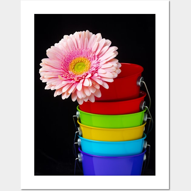 Pink Daisy In Colorful Buckets Wall Art by photogarry